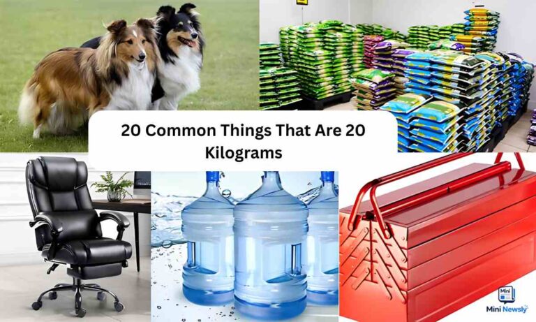 20-kg