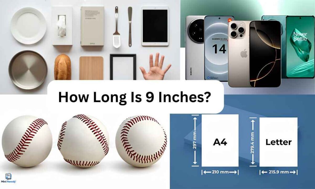 9-inches