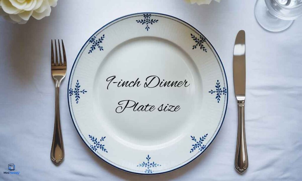 9-inches-compared-to-a-dinner-plate