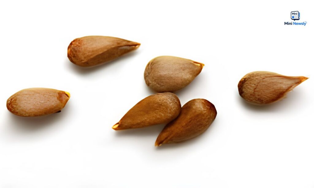 apple-seed