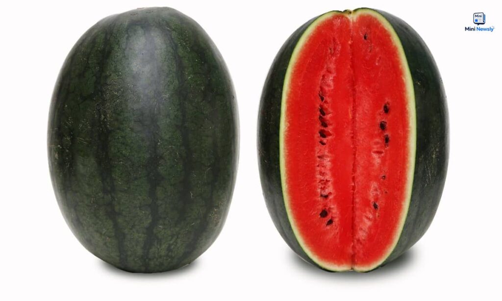 commercial-watermelon