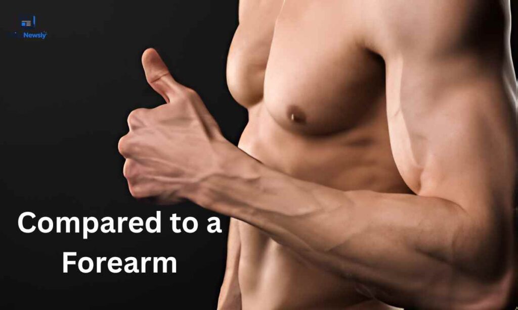 compared-to-a-forearm