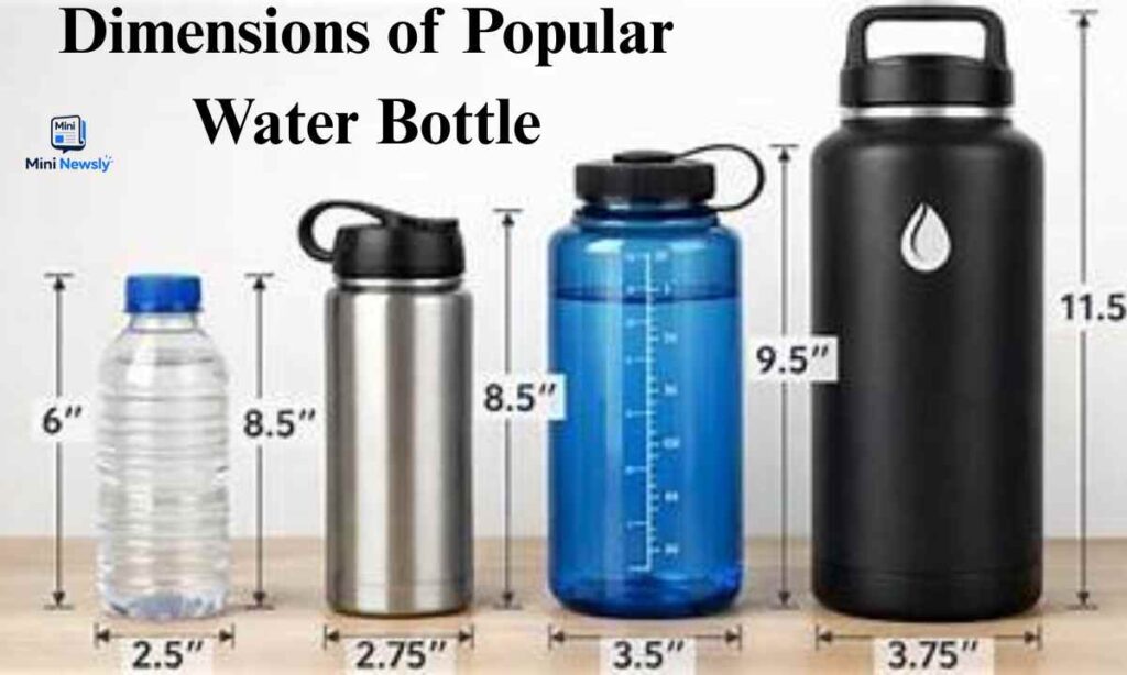 dimensions-of-popular-water-bottle