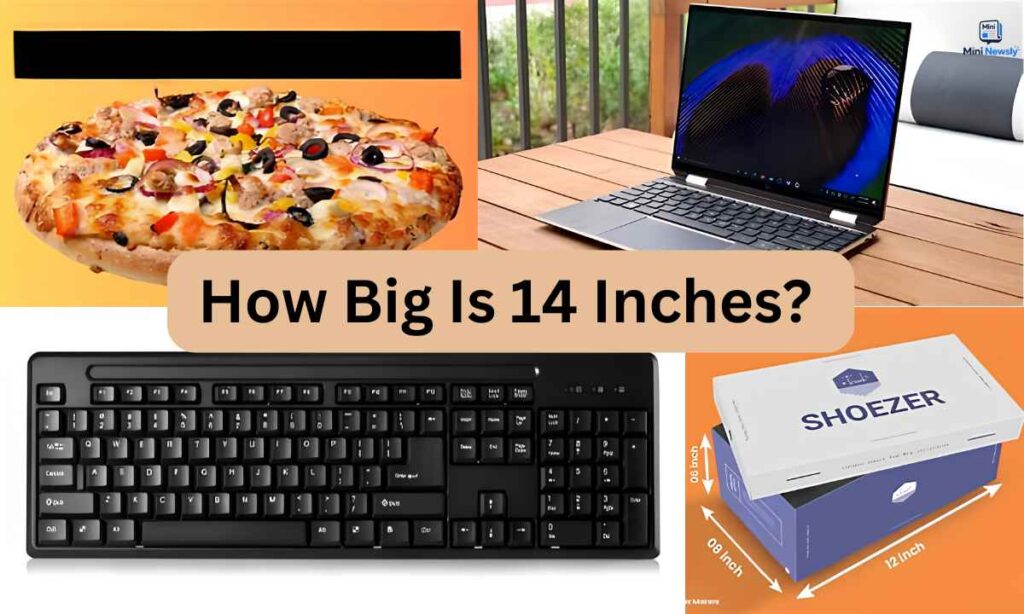 how-big-is-14-inches