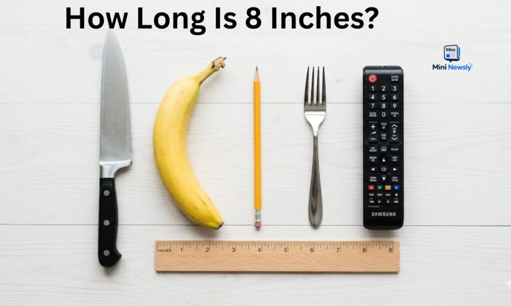 how-long-is-8-inches-18-most-common-things-that-are-8-inches-long