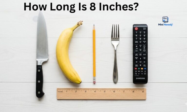 how-long-is-8-inches-18-most-common-things-that-are-8-inches-long