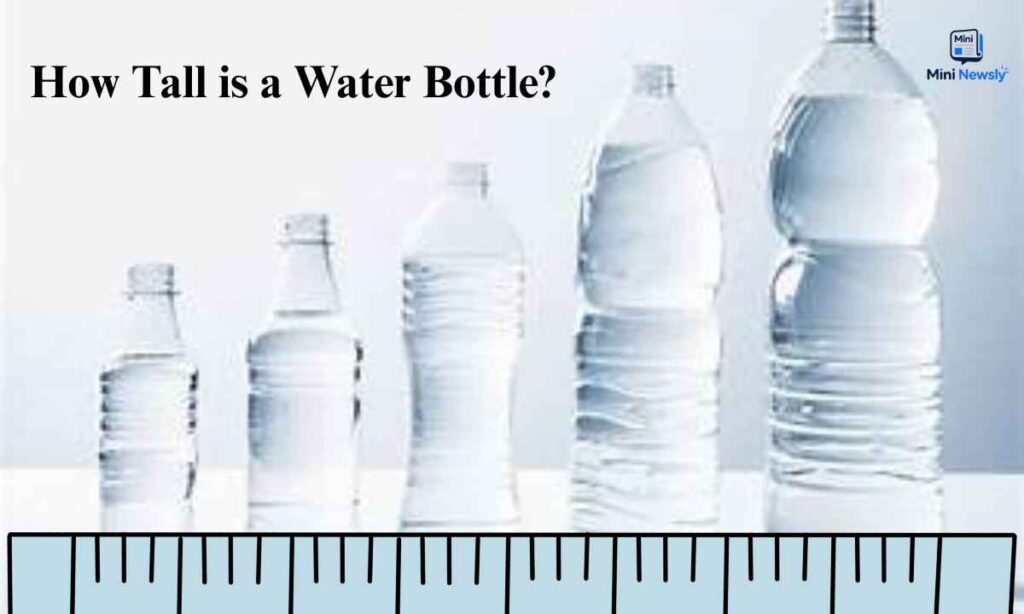 how-tall-is-a-water-bottle