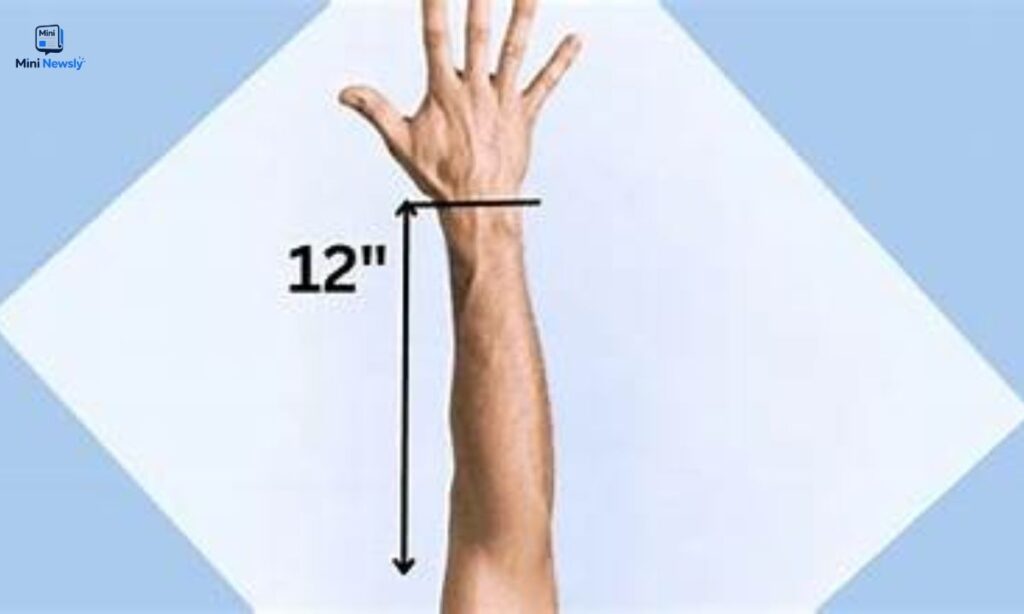 12-inches-compared-to-human-body