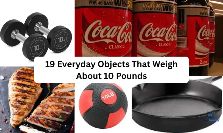 19-everyday-objects-that-weigh-about-10-pounds