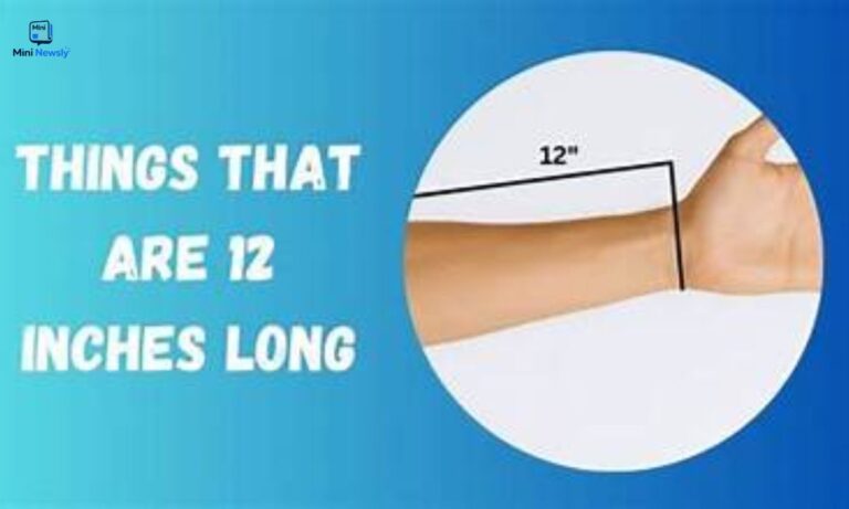20-common-things-that-are-about-12-inches