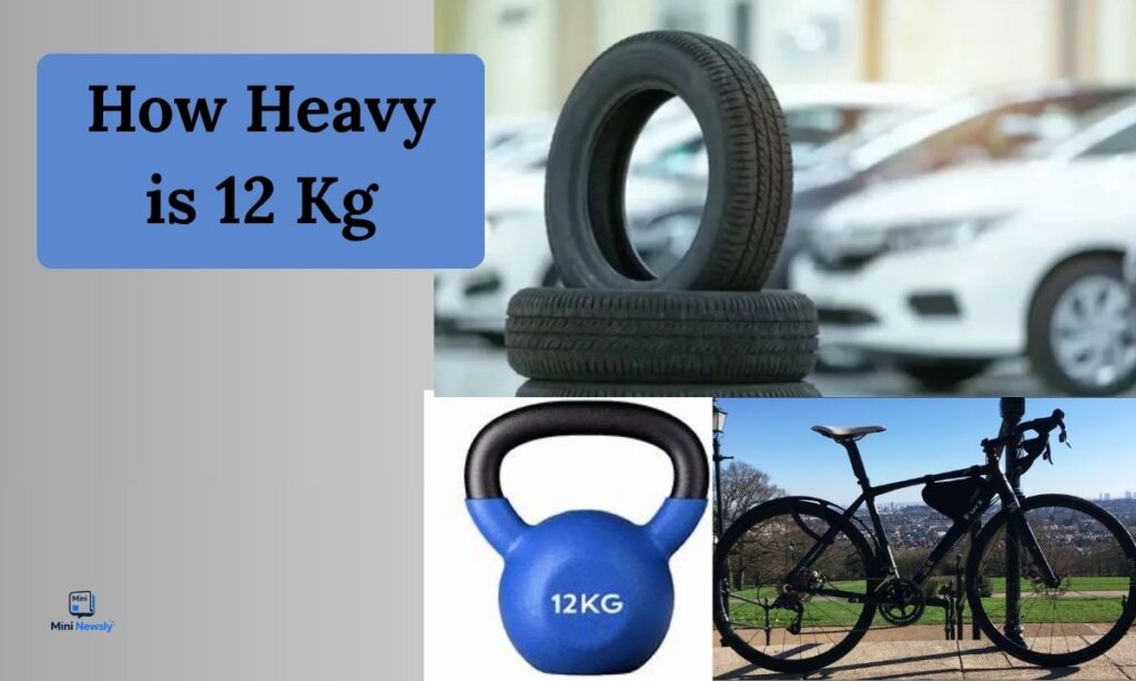 How Heavy is 12 Kg