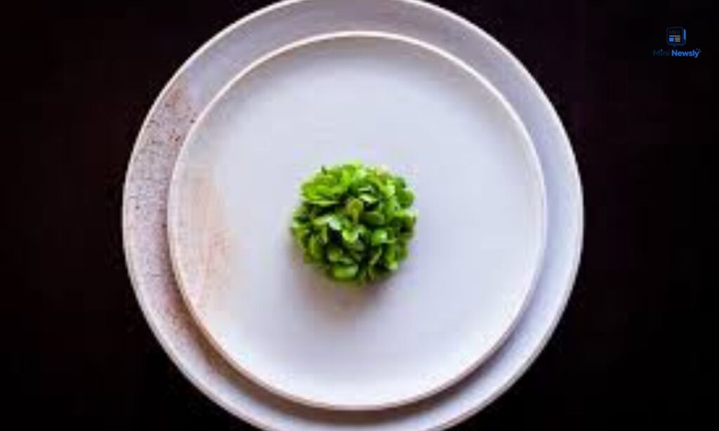 a-dinner-plate-used-in-restaurants