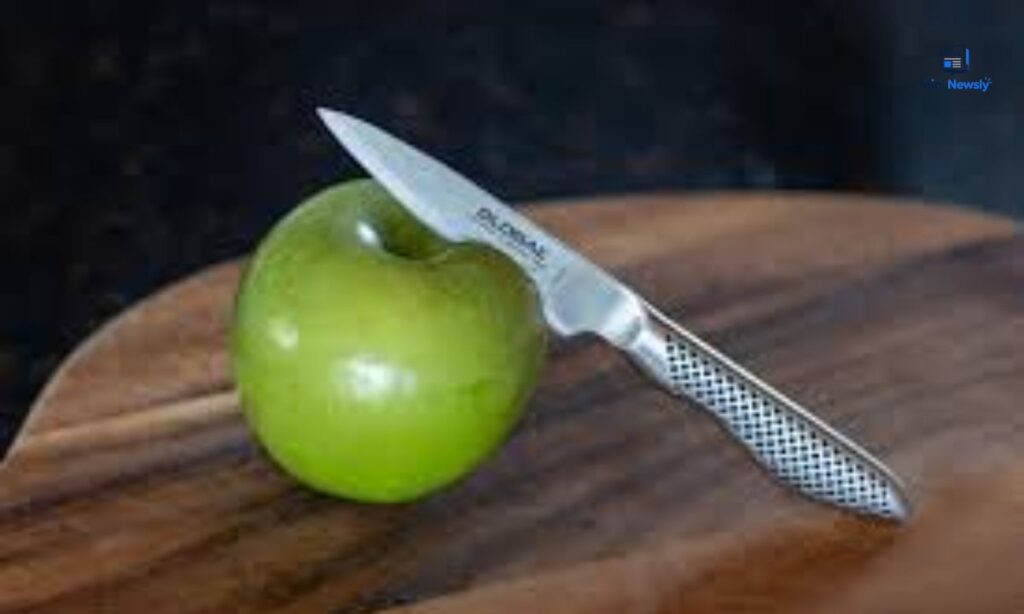 a-small-kitchen-paring-knife-blade