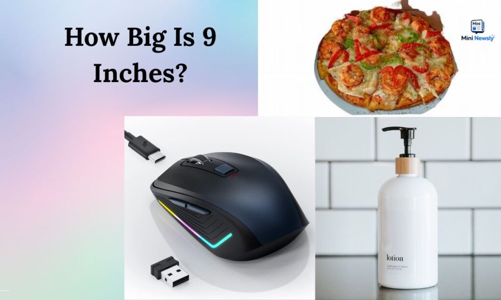 how-big-is-9-inches