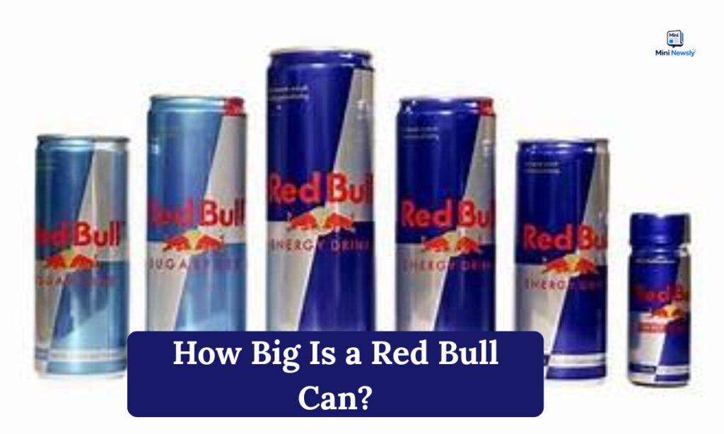 How Tall Is a Red Bull Can?