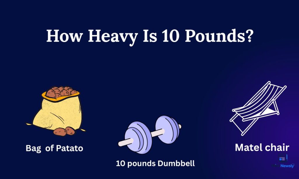how-heavy-is-10-pounds