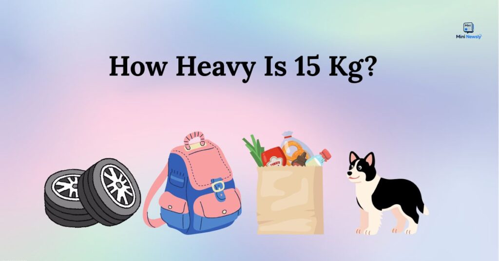 how-heavy-is-15-kg