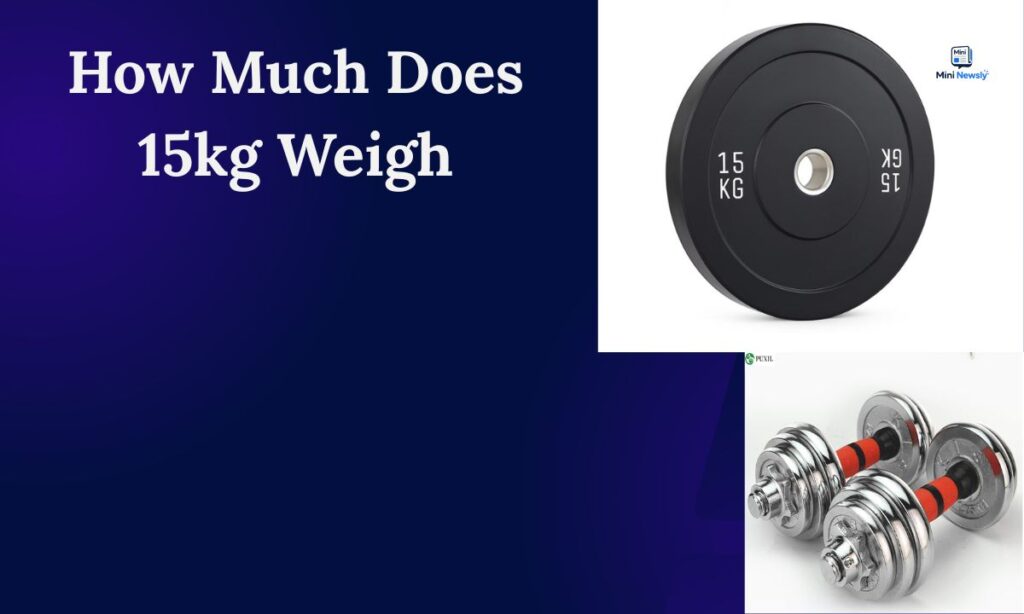 how-much-does-15kg-weigh