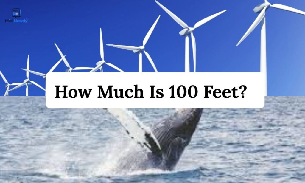 how-much-is-100-feet