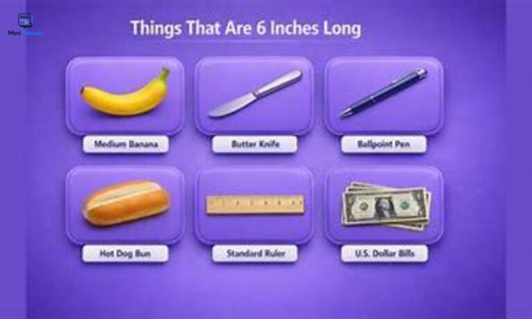 how_long_is_6_inches