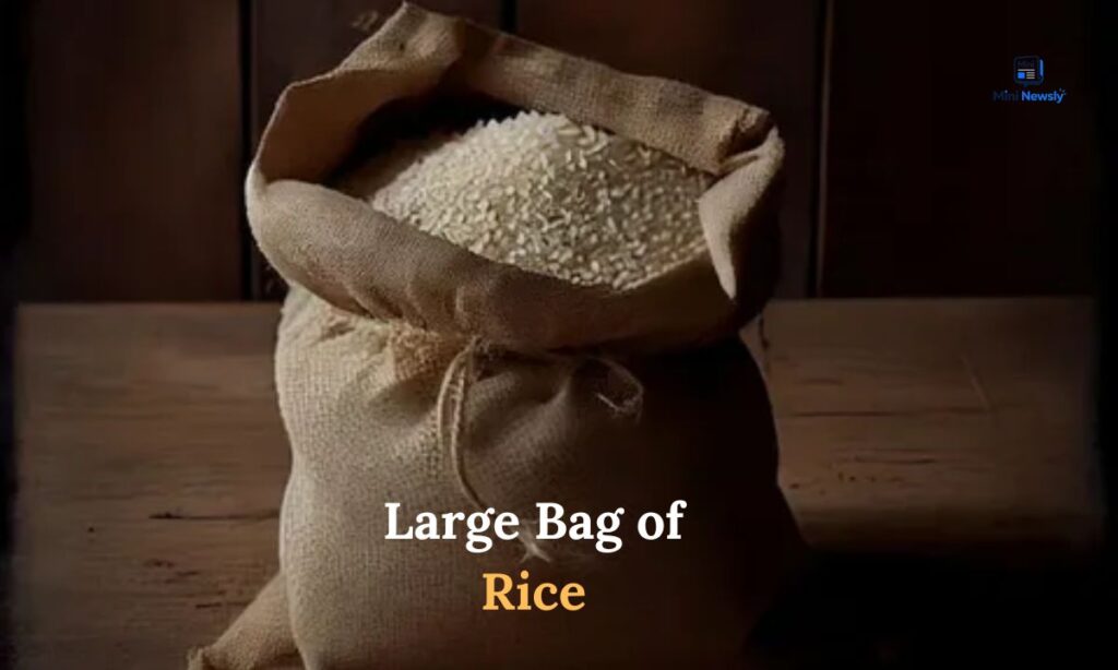 large-bag-of-rice