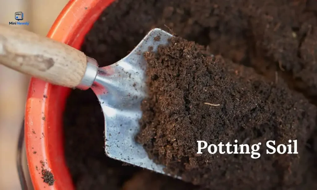 potting-soil