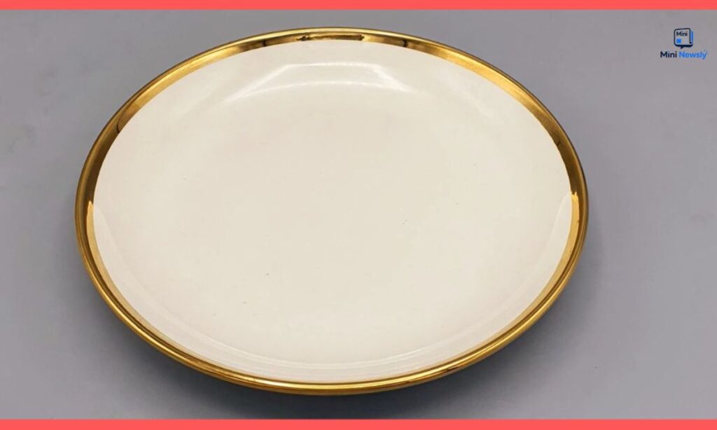 standard-dinner-plate-9-10-inches