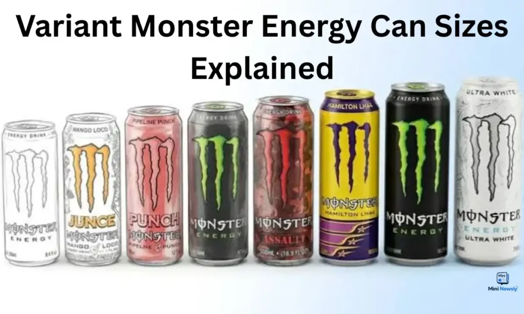 Monster Energy Drink Can Sizes