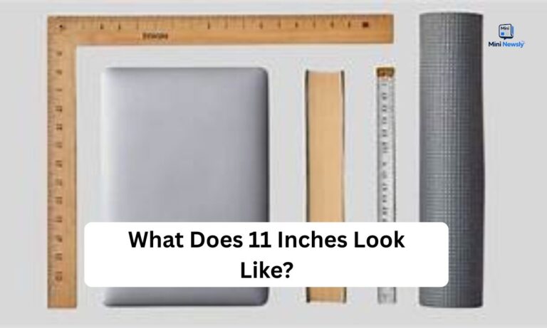 what-does-11-inches-look-like