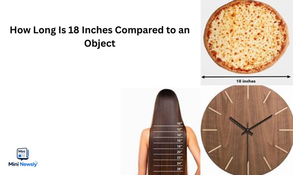 how_long_is_18_inches_compared_to_an_object