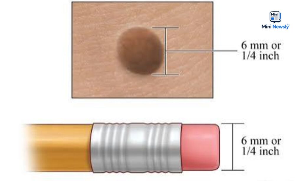 _Pencil Eraser Width