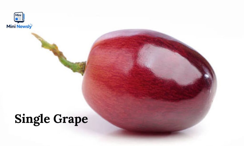 Single Grape